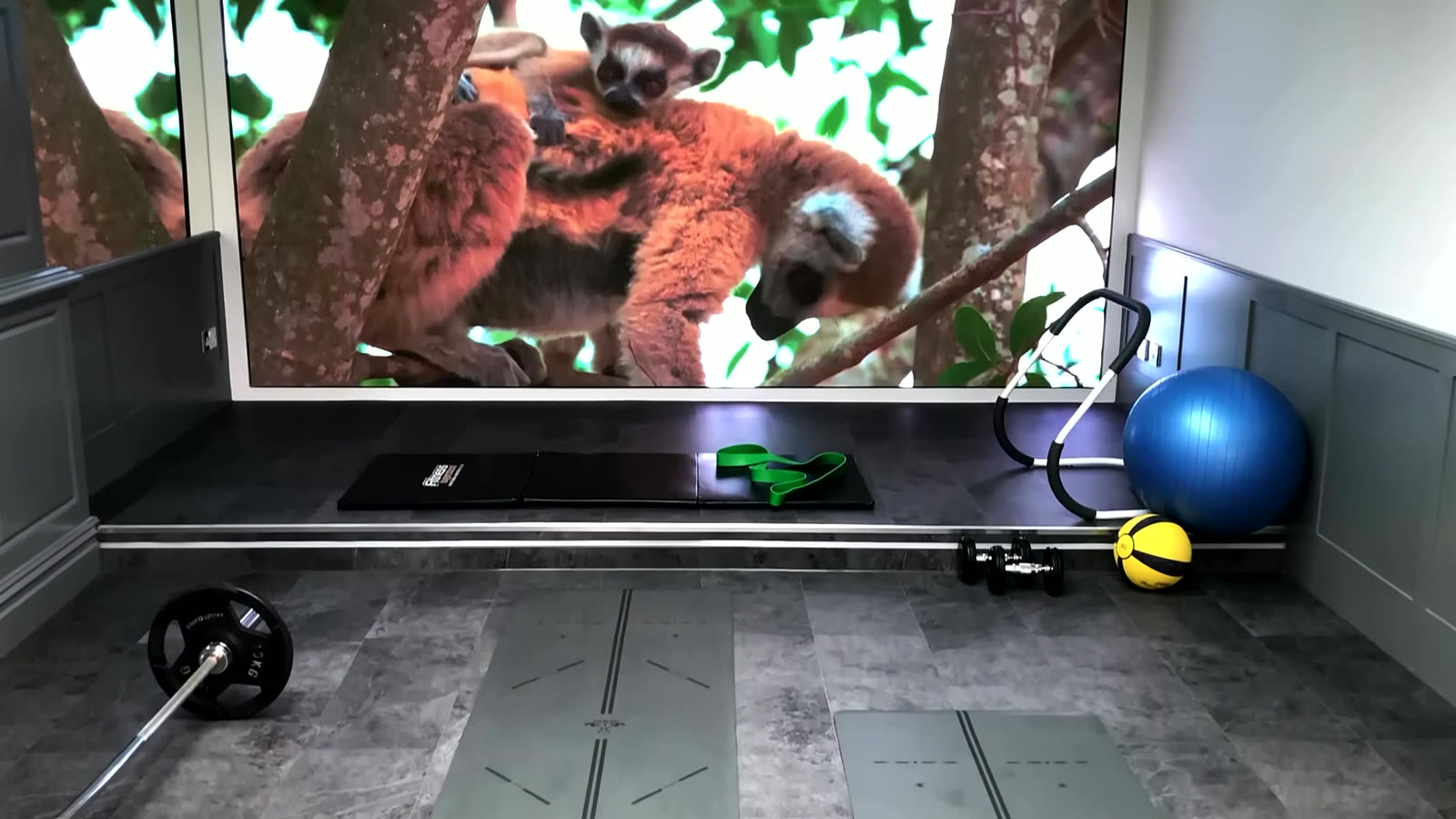 Wall-mounted TV in a home gym with LED lighting — Argos AV installation